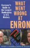 Image of What Went Wrong at Enron: Everyone's Guide to the Largest Bankruptcy in U.S. History